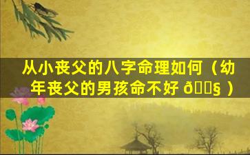 从小丧父的八字命理如何（幼年丧父的男孩命不好 🐧 ）